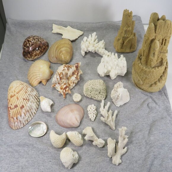 Real Sea Shells Vintage (2) Sandcastles Mr. Sandman OVER 5 POUNDS - Picture 1 of 14